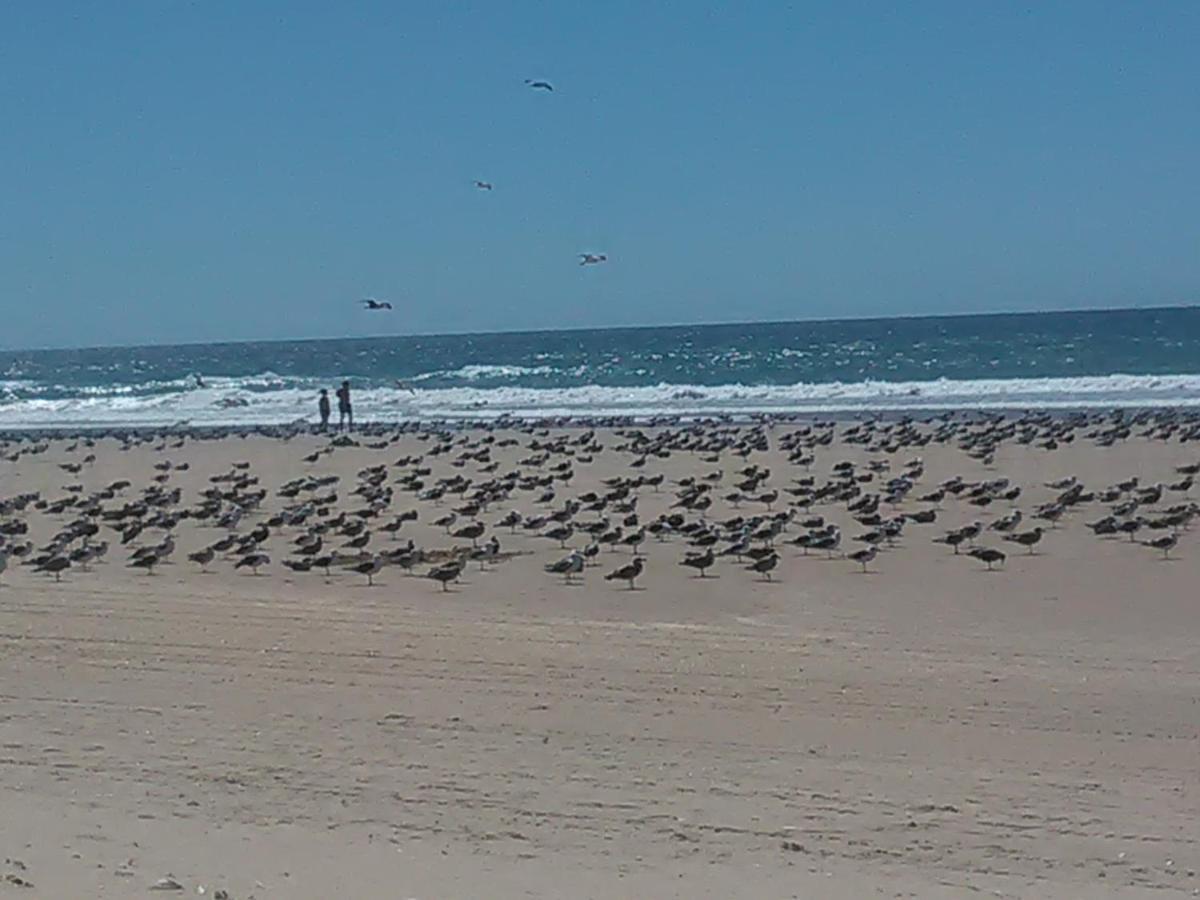 Caparica Holidays Charneca  Bagian luar foto
